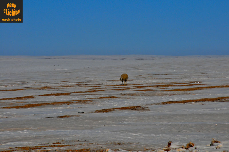 Mongolia